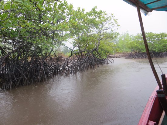 attraction-Koh Kong Climate 4.jpg